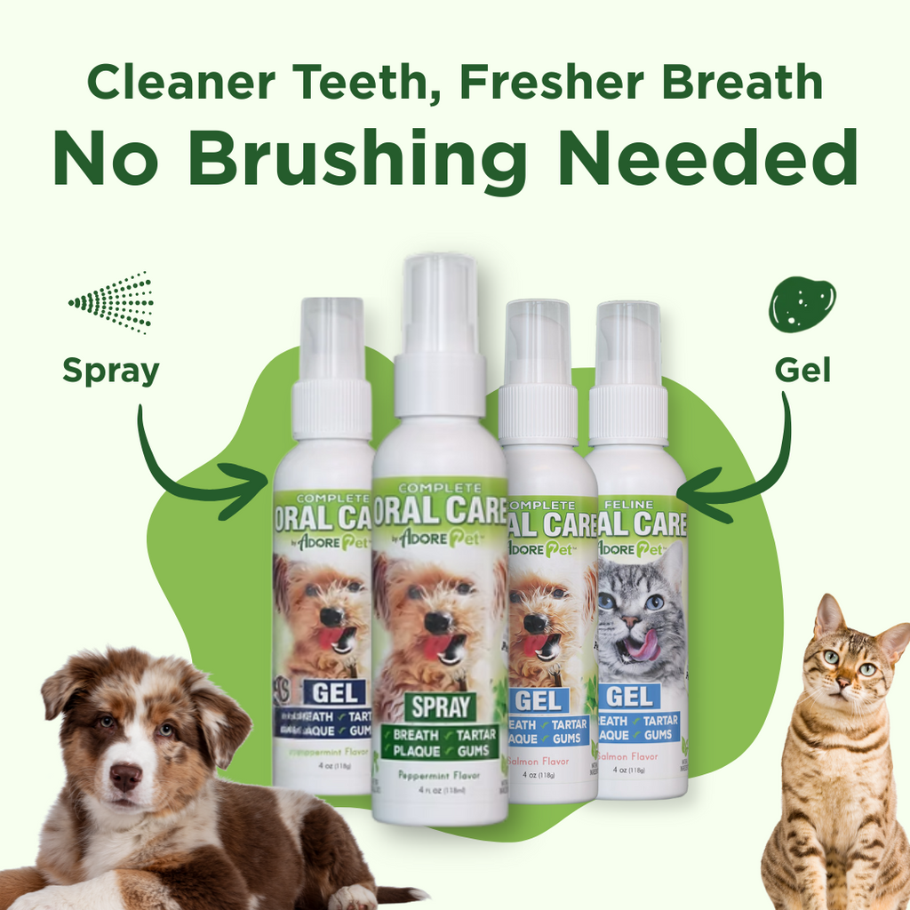 Oral Care Spray