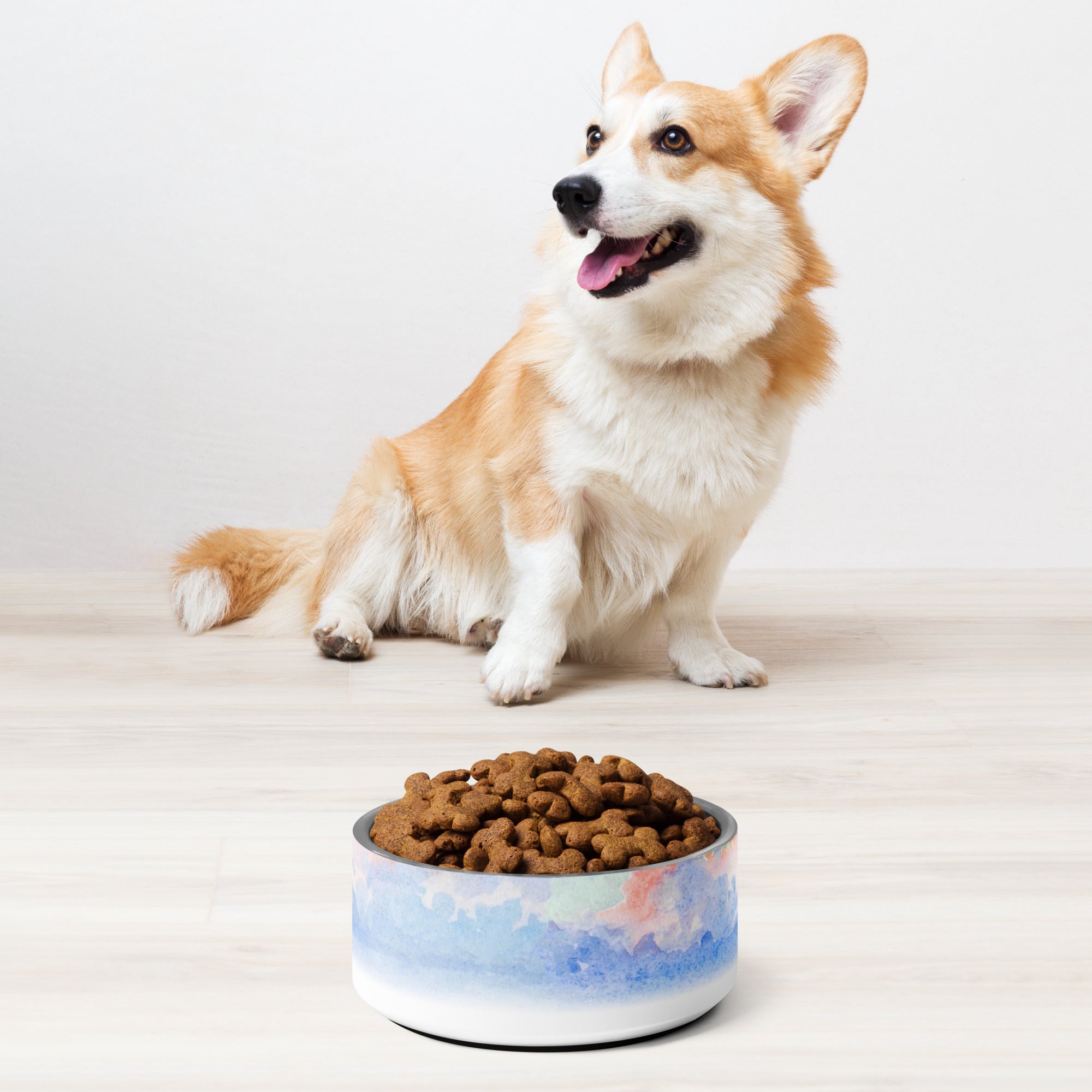Sebastian & Clementine Venice Pet Bowl